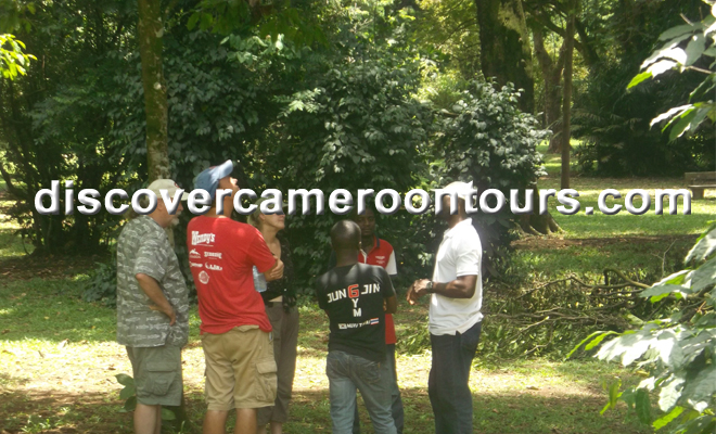 Botanical Garden Group