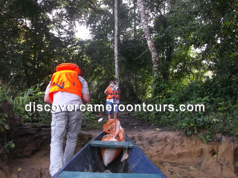 Canoe crossing a forest river