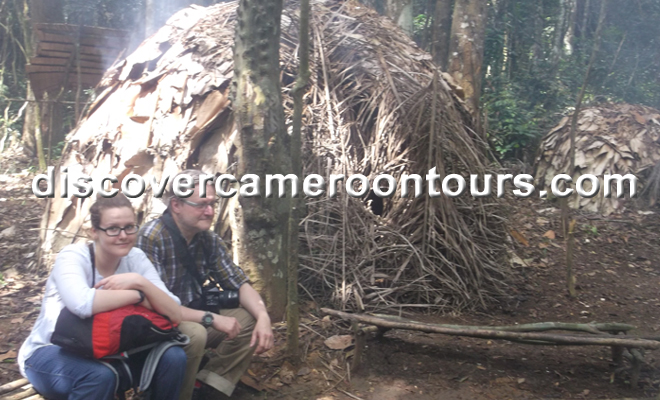 Pygmies Forest